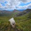 Memorable mountains win Walkhighlands competition