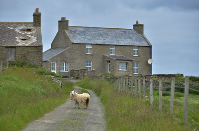 Walk photo