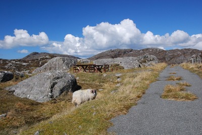 Walk photo
