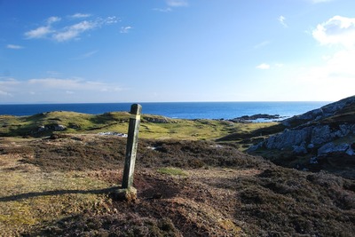 Walk photo