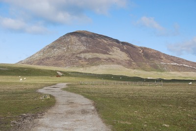 Walk photo