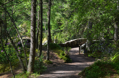 Walk photo