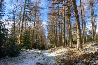 Walk photo