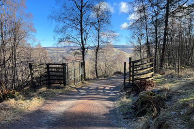 Walk photo