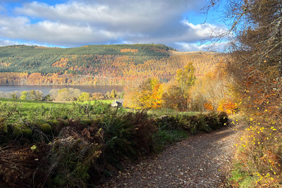 Walk photo