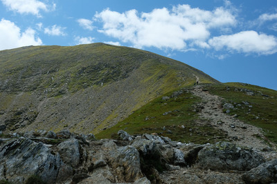 Walk photo