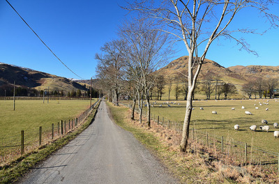 Walk photo