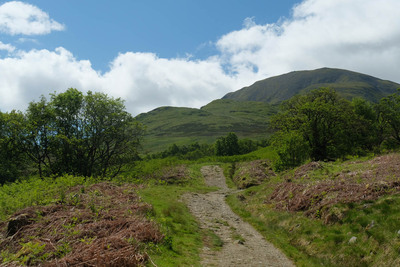 Walk photo