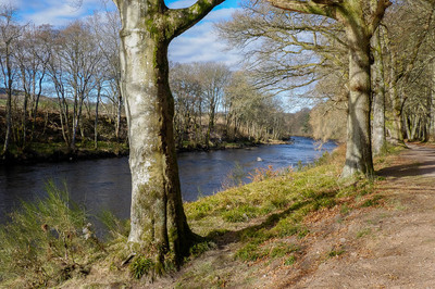 Walk photo