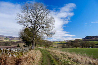 Walk photo