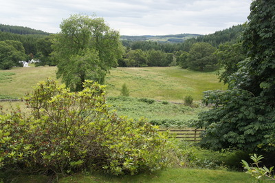 Walk photo