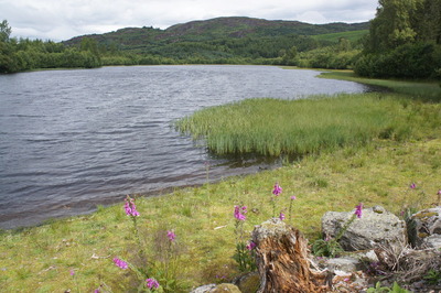 Walk photo