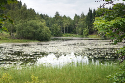 Walk photo