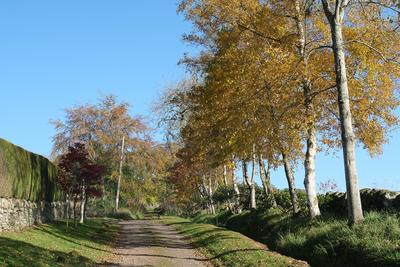 Walk photo
