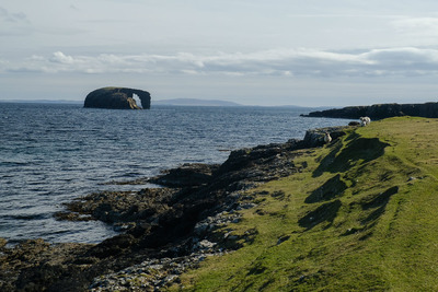 Walk photo