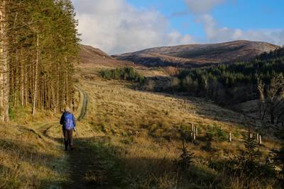 Walk photo