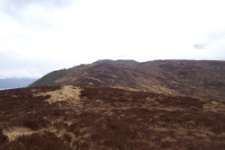 Ardsheal Hill