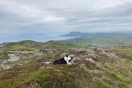 Ben Garrisdale (Jura)
