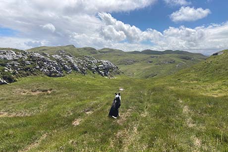 Cnoc an Ime (Jura)