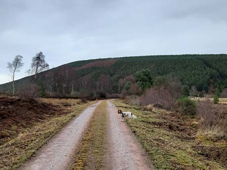 Cnoc an t-Sabhail (West)