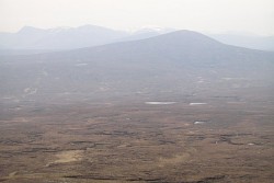 Cnoc Damh