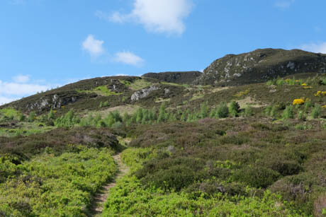 Dùn Coillich