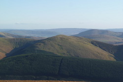 Ellson Fell