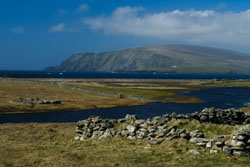 Fitful Head (Mainland Shetland)