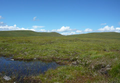 Meall an Fhuarain (Alltnaharra)