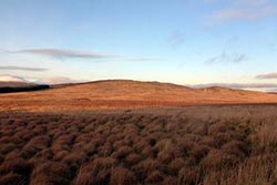 Pibble Hill
