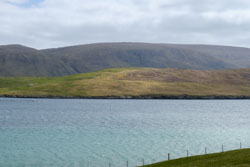 Royl Field (Mainland Shetland)