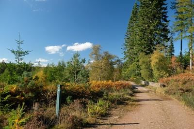 Walk photo