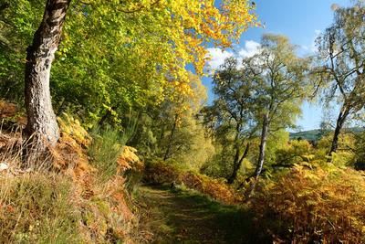 Walk photo