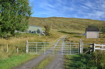 Walk photo