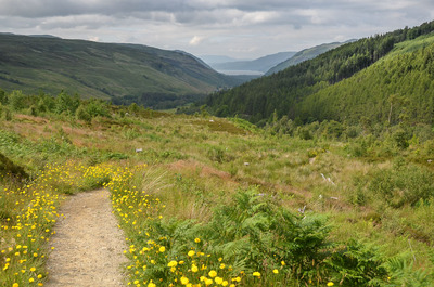 Walk photo