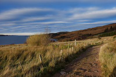 Walk photo